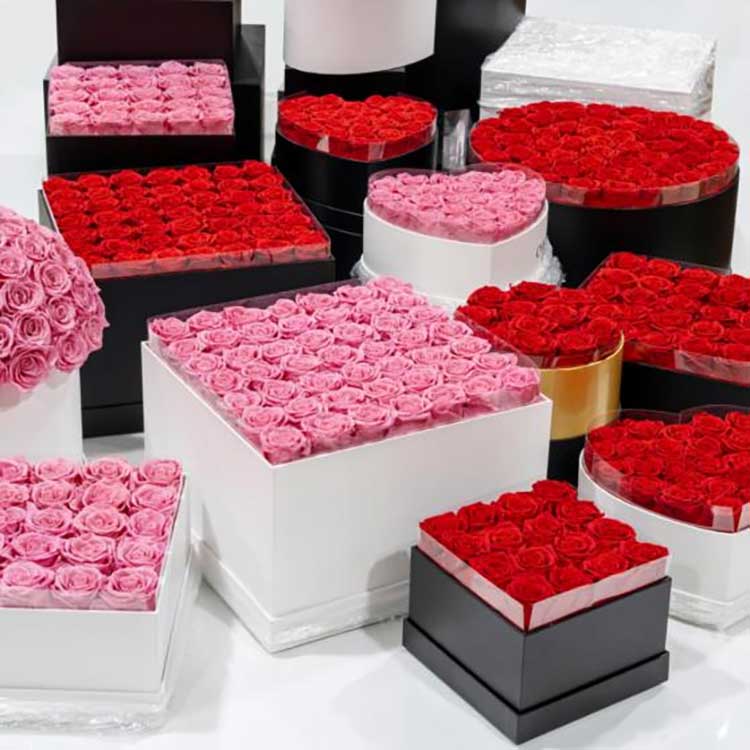 Zachovalé vedro na kvetinové objatie